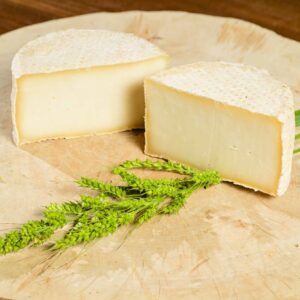 Capannotta